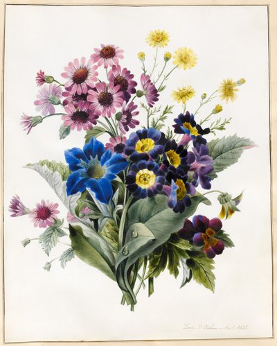 Gemischte Blumen, Aster sp., Aurikel, Greiskraut, Viola, Glockenblume, Gentiana Acaulis, 1828 von Louise DOrleans